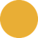 Intensity Sunshine