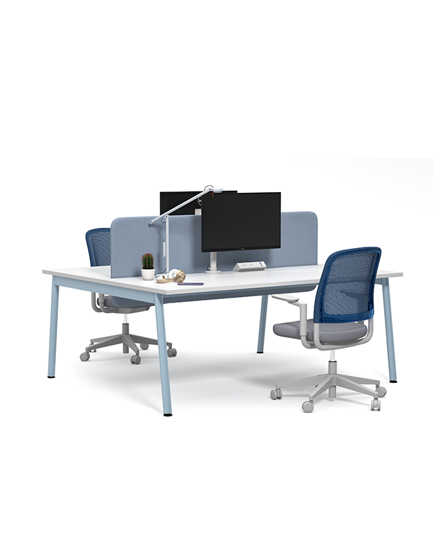 TEDDY workstation