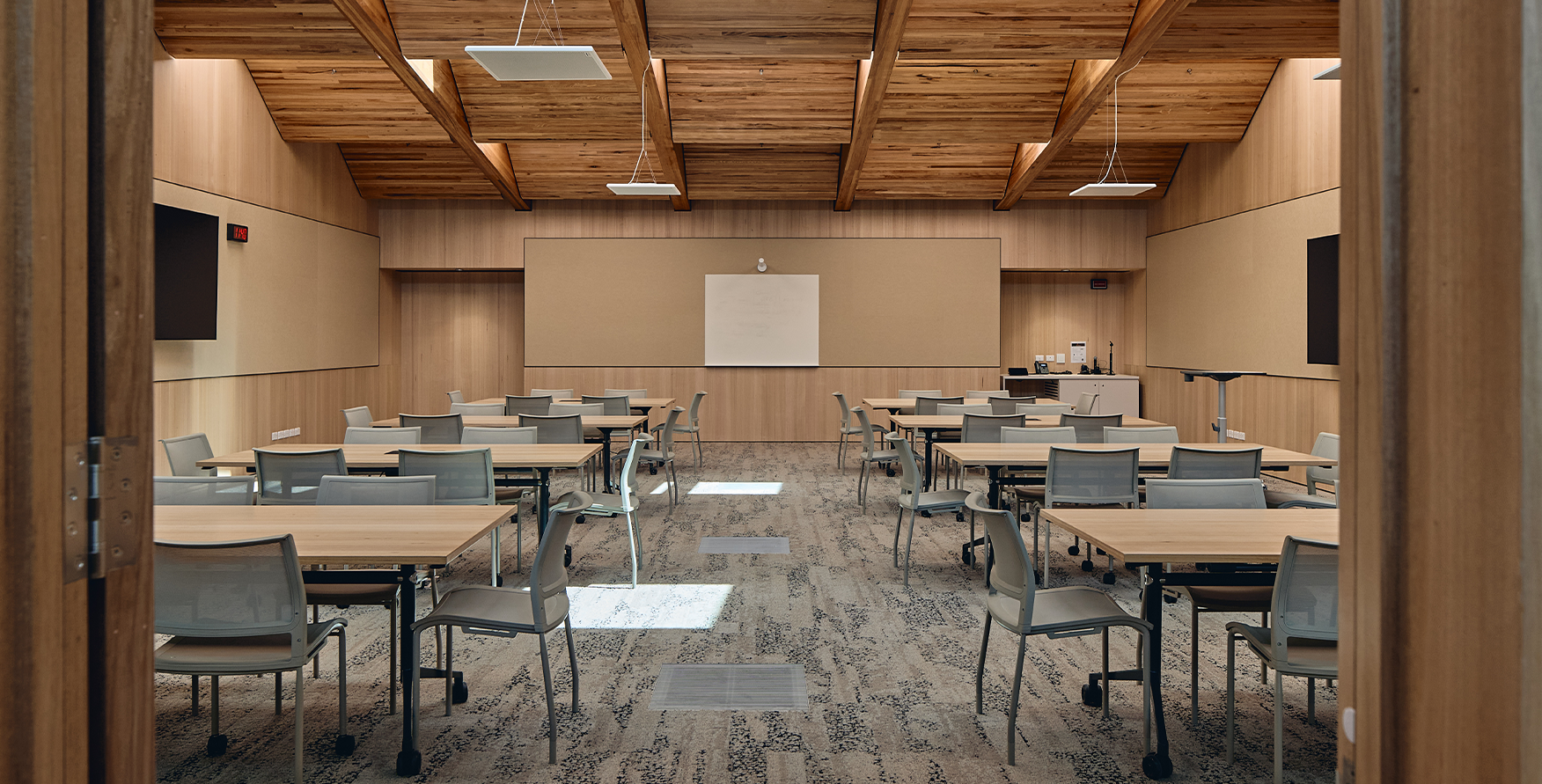 University of Tasmania – The Forest